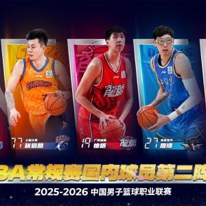 开云赛事集团-CBA国内球员二阵：张镇麟、林庭谦、徐昕、高诗岩、周琦